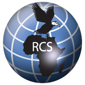 RCS Communication globe icon